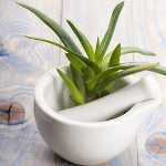 aloe vera