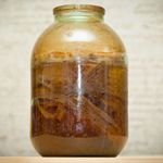 kombucha