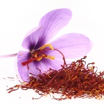 koreni safran