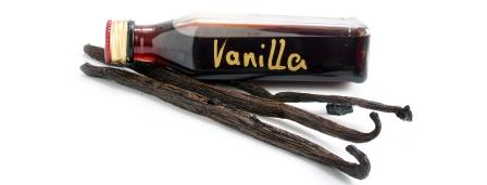 vanilkove lusky a vanilkovy extrakt