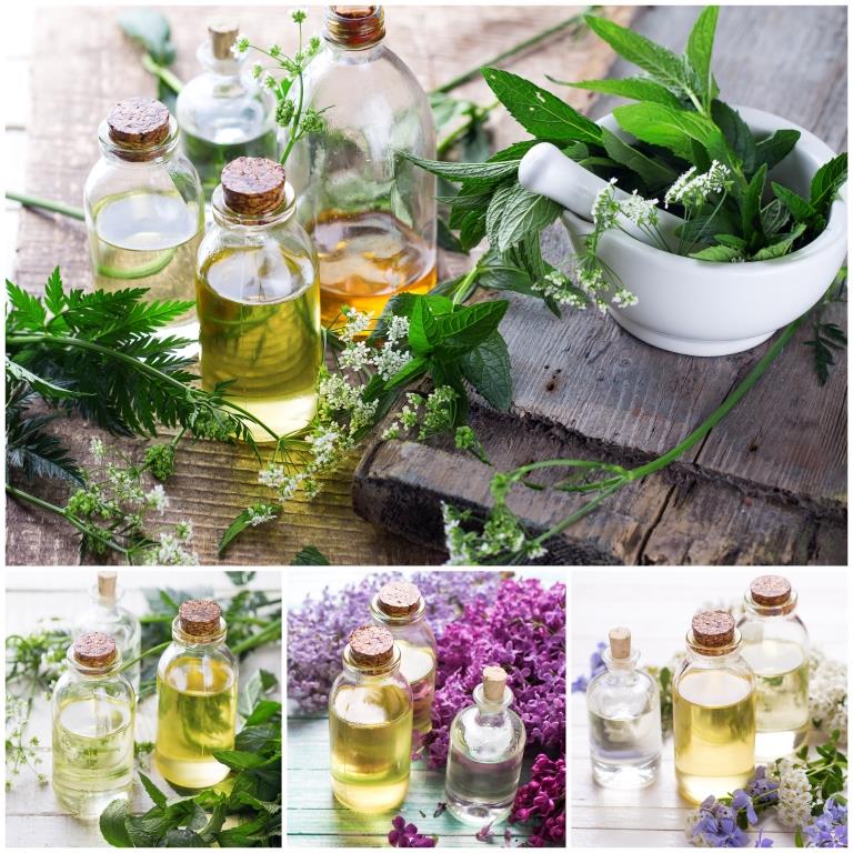 bylinky a léčivé rostliny, oleje