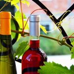 červené a bílé fľašky na víno mezi listama viniče
