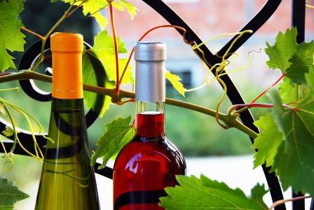 červené a bílé fľašky na víno mezi listama viniče