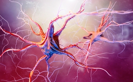 tinktura nervovy system