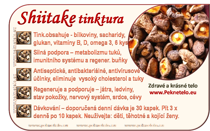 info shiitake tinktura cz